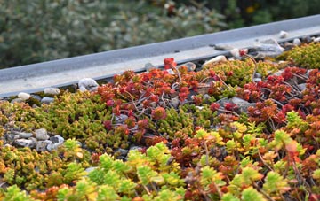 the cost of Camore green roof installation