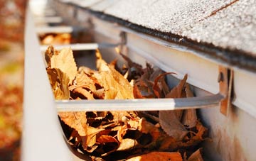 Camore gutter cleaning companies
