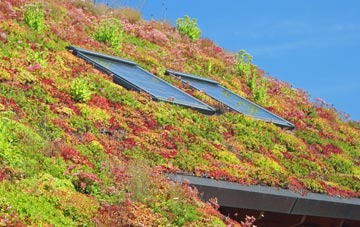 Camore living roof systems