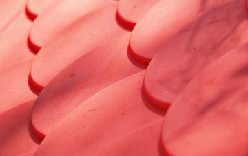 Camore plastic roof costs