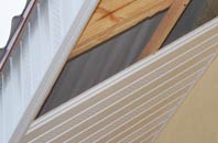 rated Camore soffit repair companies